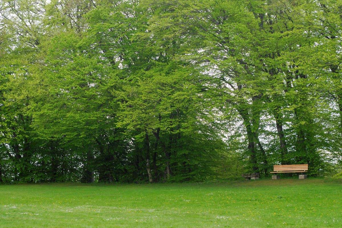 Erste Orientierung in meiner Trauer