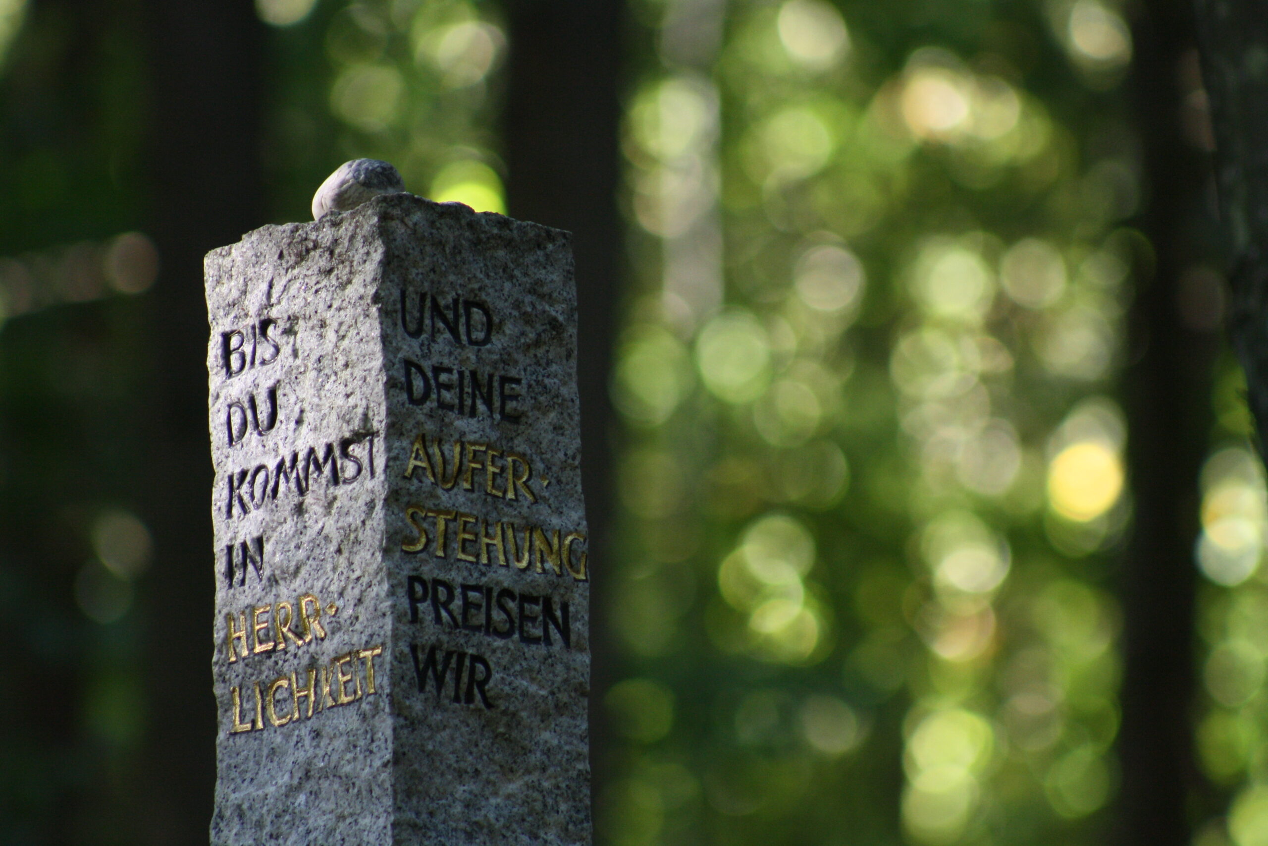 Erinnerung an unsere Sternenkinder