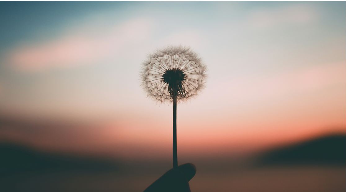 MBSR - Achtsamkeit erfahren