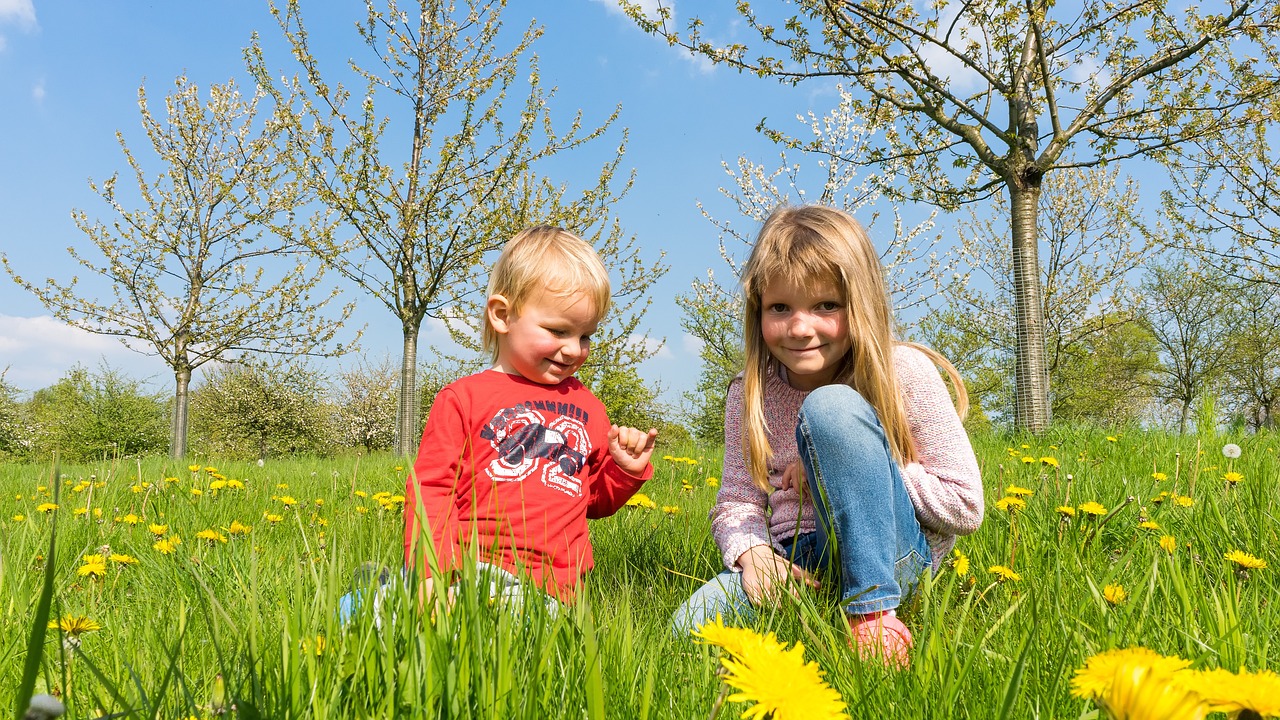 Workshop Frühlingserwachen von Pflanzen und Tieren